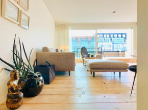 beautiful specious design duplex penthouse